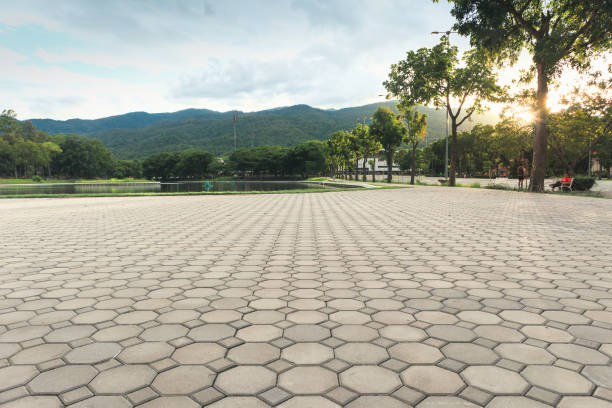 Best Brick Driveway Pavers  in Dayton, VA
